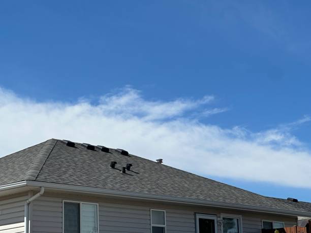 Sheet Metal Roofing in Mountain Home, ID